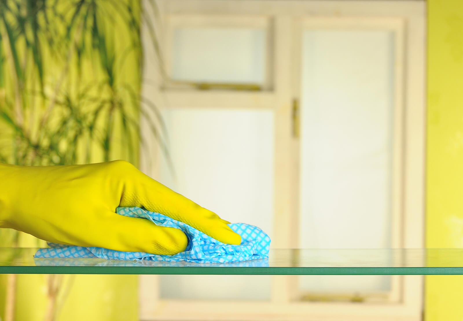 person in rubber gloves using a blue duster
