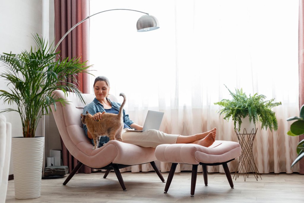 Beautiful young woman Petting cat while working using laptopat home in comfortable chair.