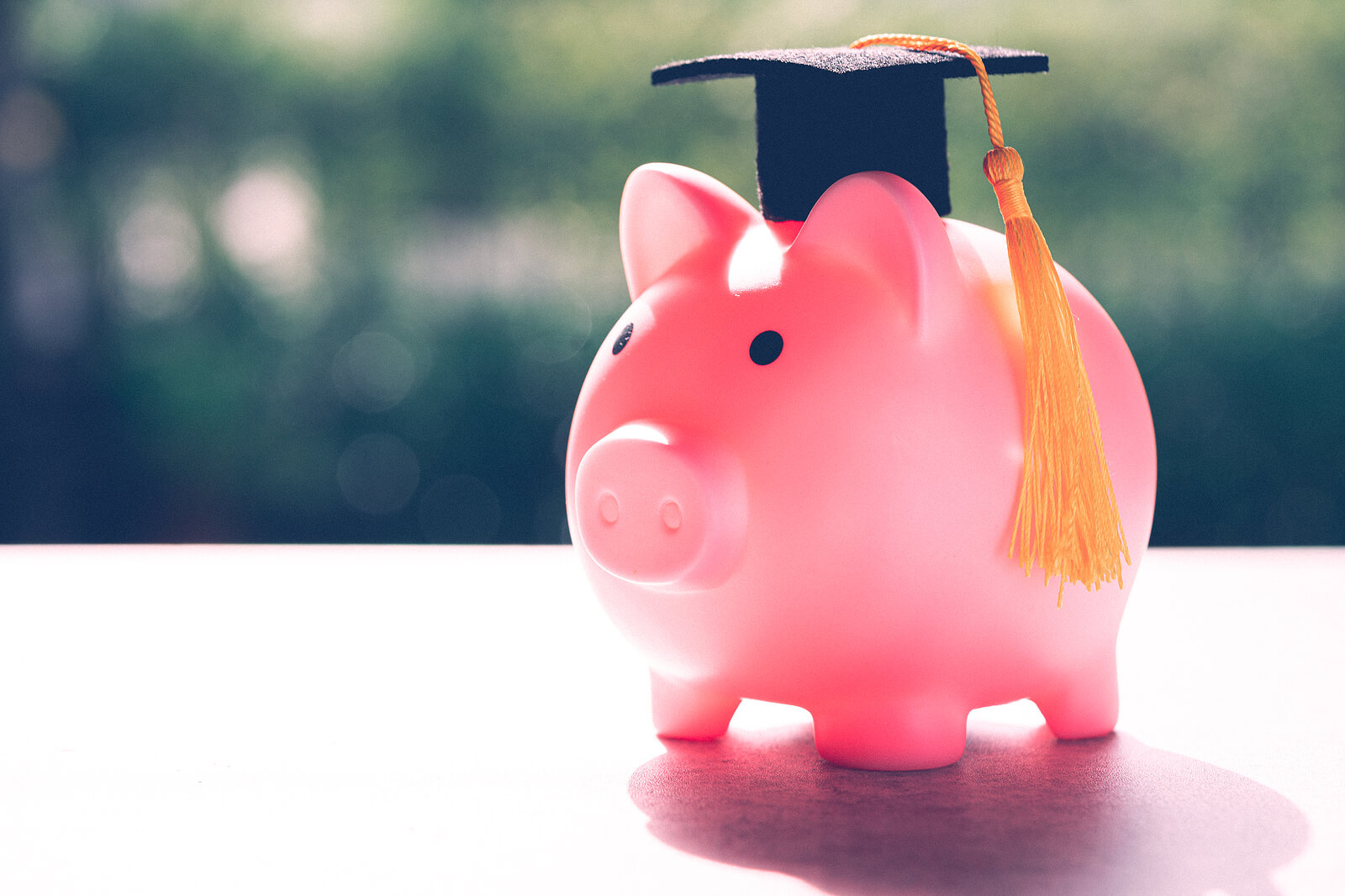 A pink piggy bank wearing a graduation cap, representing the concept of graduate banking.